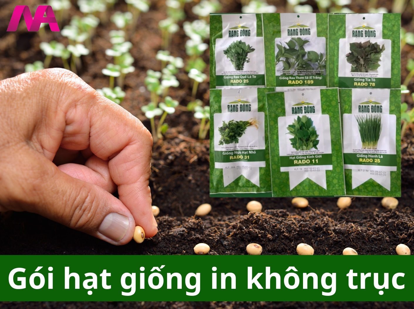 Gói hạt giống in không trục