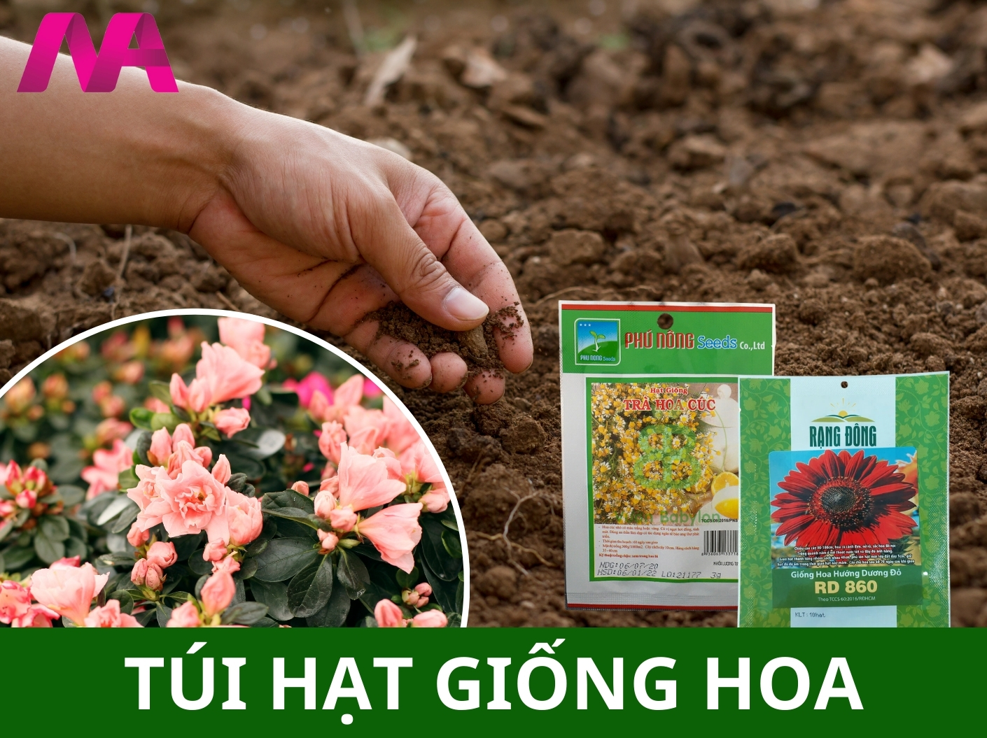 Gói hạt giống hoa in không trục