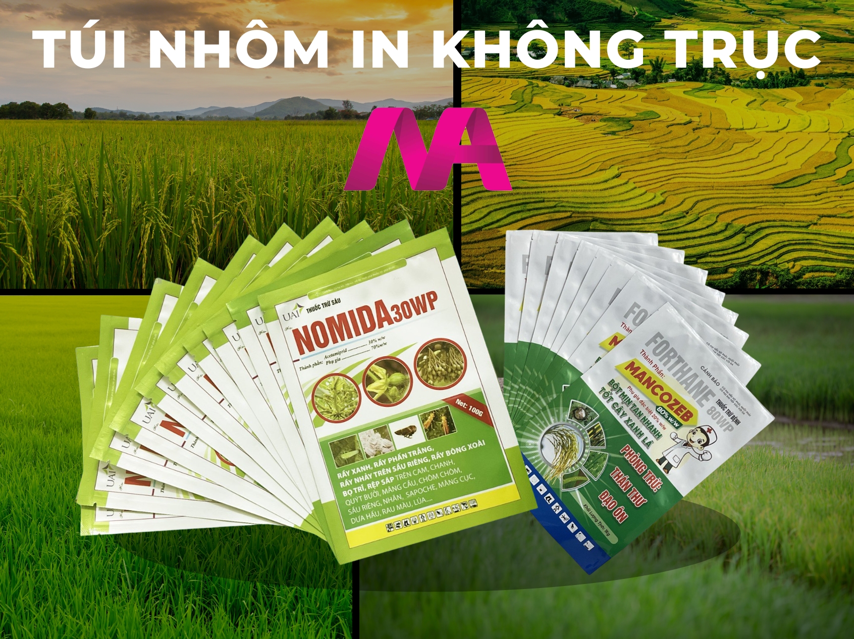 Túi nhôm in không trục