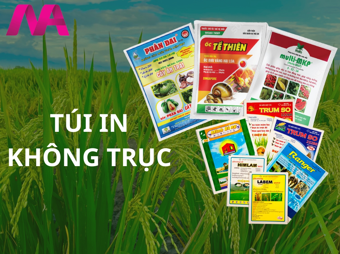 Túi in không trục