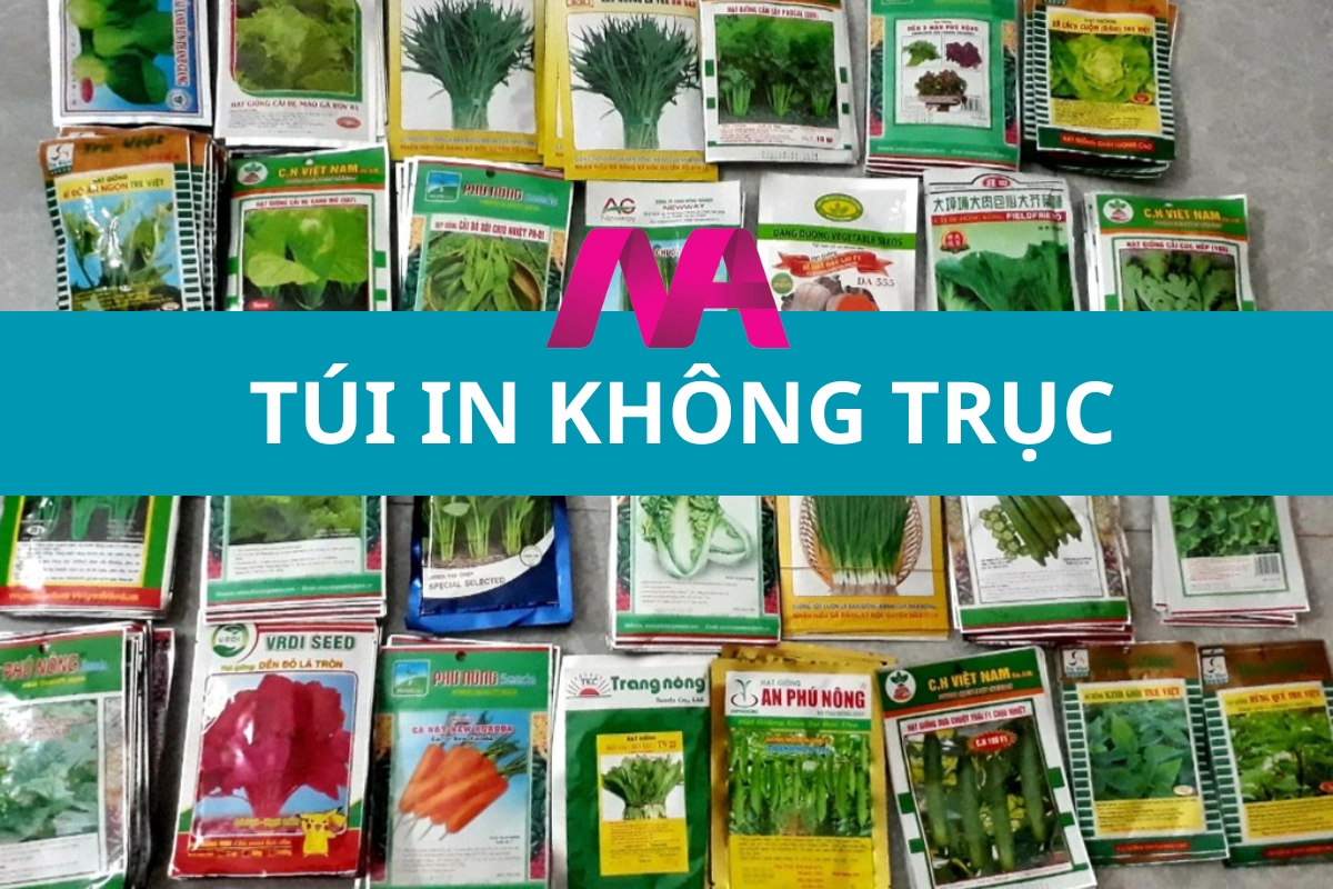 Cách chọn mua túi in không trục tại TP.HCM