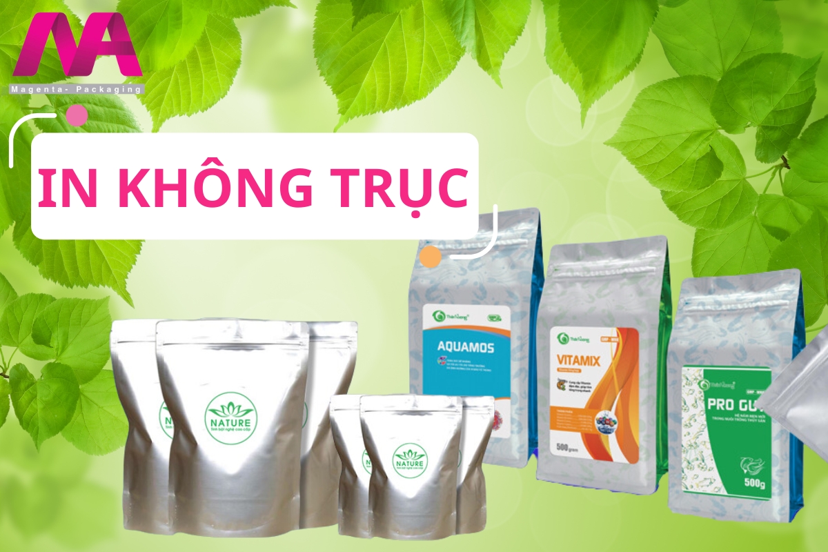 Túi in không trục