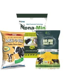 in không trục tối ưu chi phí