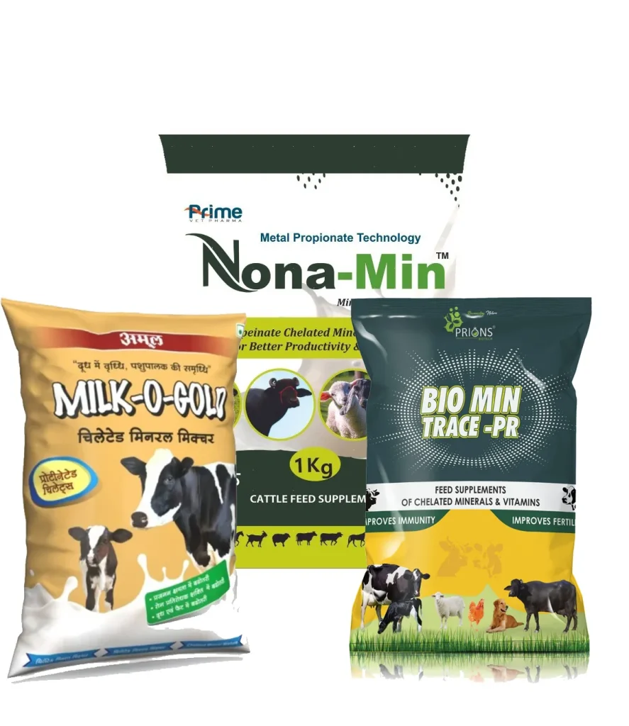 in không trục tối ưu chi phí